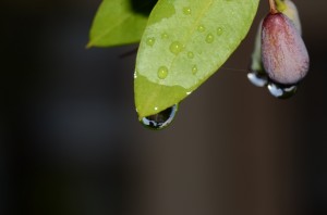 My home in a raindrop!