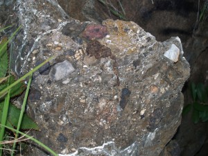 Breccia forms when sand, gravel and stones, sometimes also containing bones, fall down an opening into a cave. It is then cemented together into a concrete-like substance by calcite-rich water