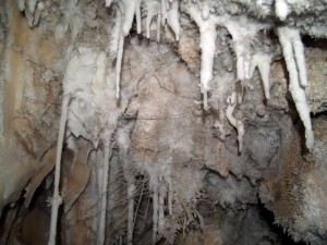 Stalactites, curtains, flowstone, calcite crystals and helictites. There is just not enough space for all the speleothems in this part of Wind gat Cave!