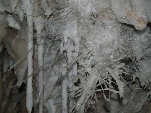 A mass of helictites glistening in the light of the camera's flash in one of the chambers of Wind Gat Cave