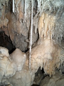 Like many others, this stalactite in Wind Gat Cave has helictites growing from it