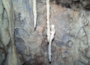 This stalactite has formed an animal-like sculpture!