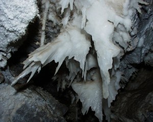 Fishtail formations in Wind Gat Cave