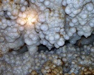 "Bubbles" Speleothems in Koelenhof Cave, Kromdraai Area