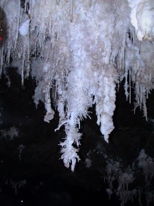 A filigree of helictite-encrusted stalactites, Knocking Shop Cave